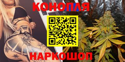 стаф Кунгур